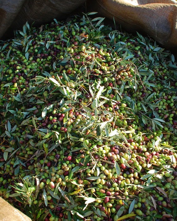 Honest Toil Extra Virgin Olive Oil 500ml