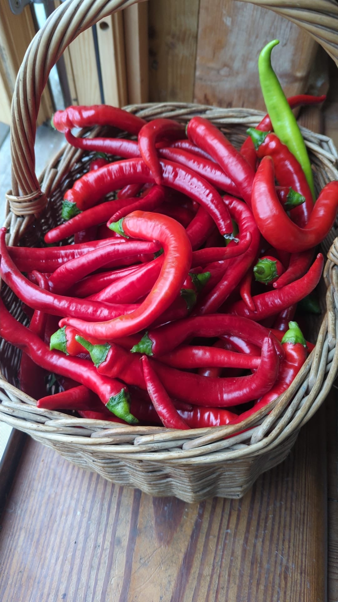 Tŷ Gwennol Trio of Chillies